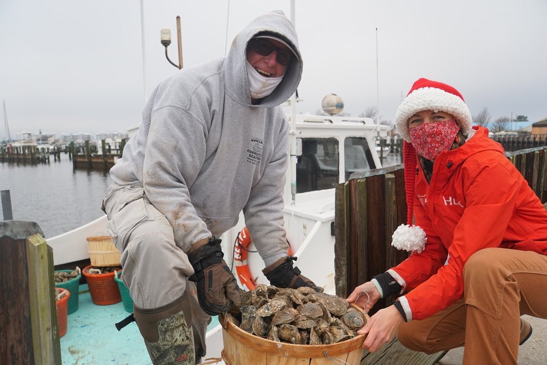 teamupstream's tweet photo. Pickup your pre-orders from 2-8pm today! We have 10 bushels of wild oysters, 1000 aquaculture oysters, and 29 cakes from Smith Island.
To hear more, join our #ConservationCelebrityCheckIn tomorrow with Mary Ada Marshall!
#delicious #shoplocal #eatlocal #cake #oysters #holiday https://t.co/tR9ydTeIxr