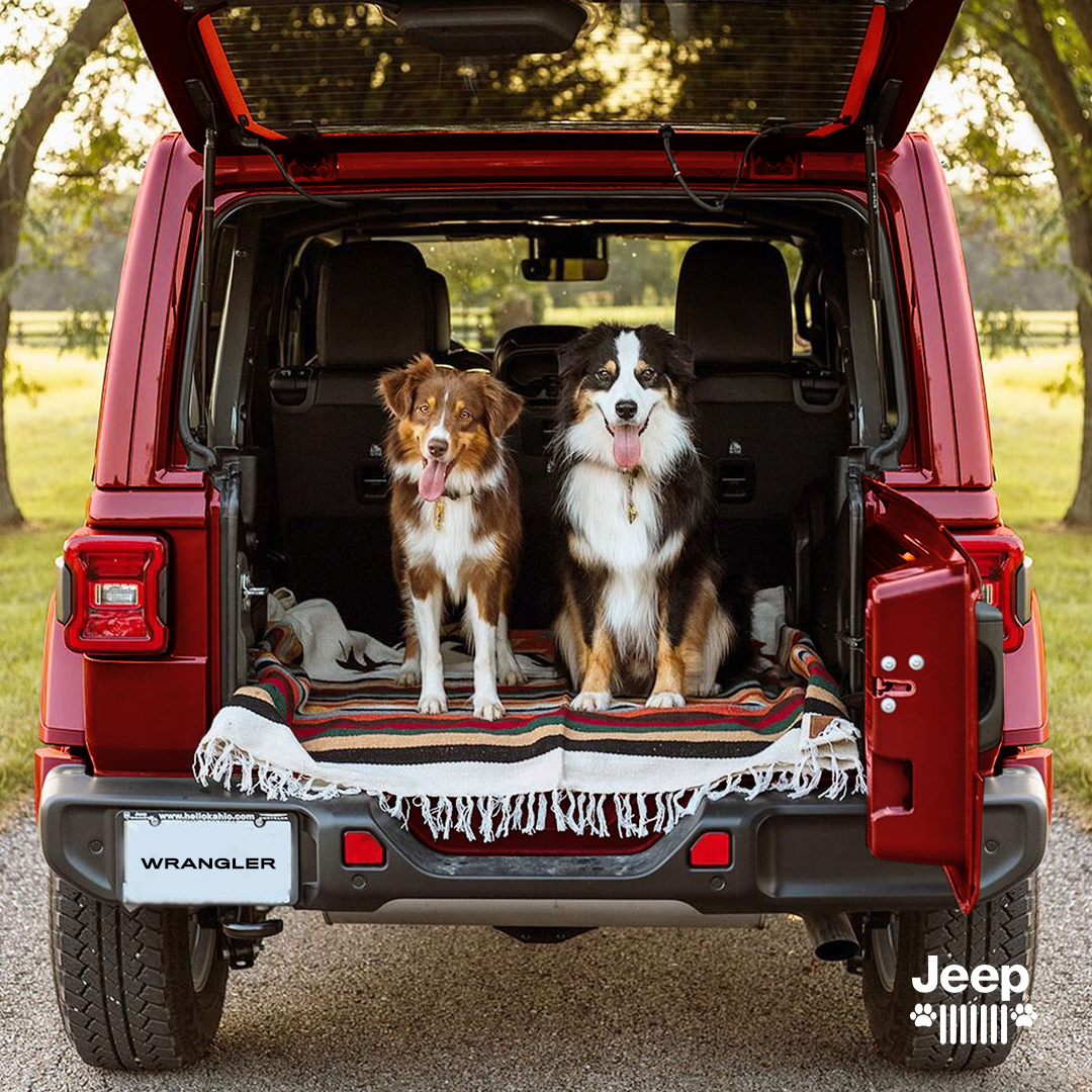 ManadaJeep's tweet photo. Las almas salvajes nunca se resisten al llamado de los terrenos retadores. #JeepPets 🐶🏆 https://t.co/FC4R0KZzlb