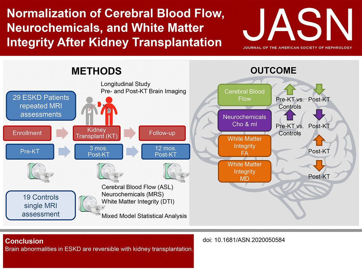 ASPNeph's tweet photo. Normalization of Cerebral Blood Flow, Neurochemicals, and White Matter Integrity after Kidney #Transplantation #BrainKidney @JASN_News
https://t.co/vtqcFsJ2n1 https://t.co/YbJD2PmbTL