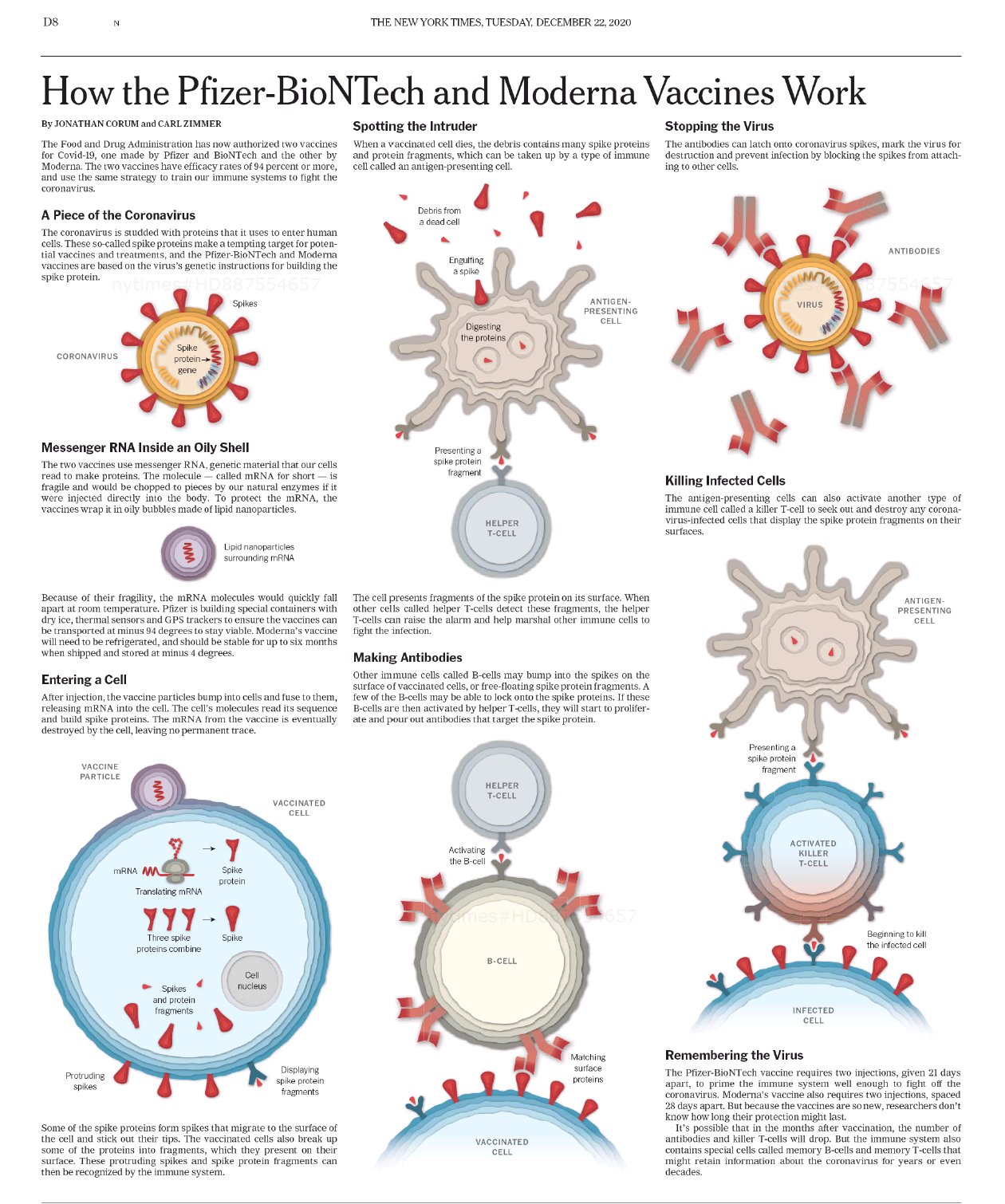 Virus Ep2al1QXcAQIbYd?format=jpg&name=large