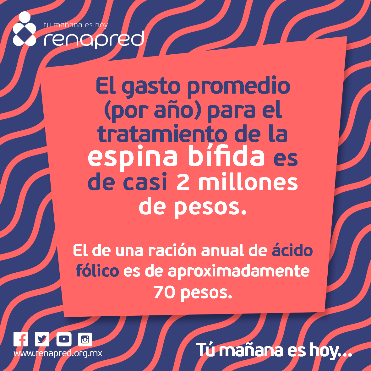 El gasto promedio (por año) para el tratamiento de la espina bífida es de casi 2 millones de pesos. El de una ración anual de ácido fólico es de aproximadamente 70 pesos. #4AccionesRenapred #TuMañanaesHoy. Para más información visita: renapred.org.mx