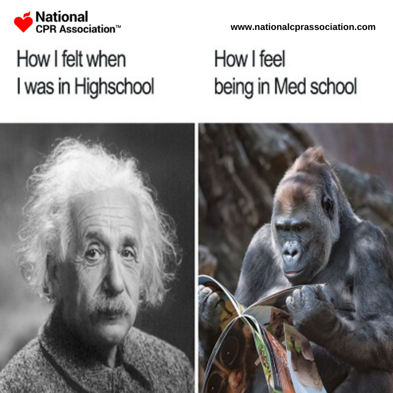 national_CPR's tweet photo. When nurse life begins 🏥📋💉 #emt #nurses #doctors 
#firstaid #InfantCpr https://t.co/S2YYG1V7H0