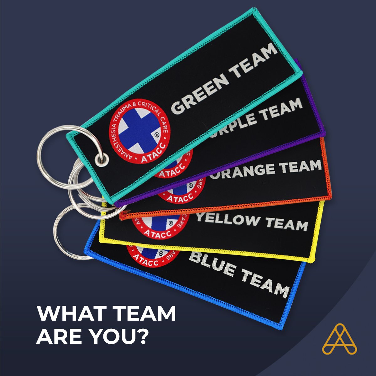 ATACCGroup's tweet image. Calling all ATACC Alumni past and present 📣
Team keyrings are now available from our web store.
-
What team are you? 

#ATACCAlumni #TAGmerch