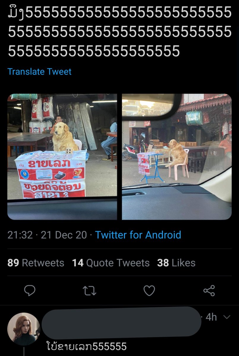 หมาที่ลาวก็ชื่อโบ้หรอ