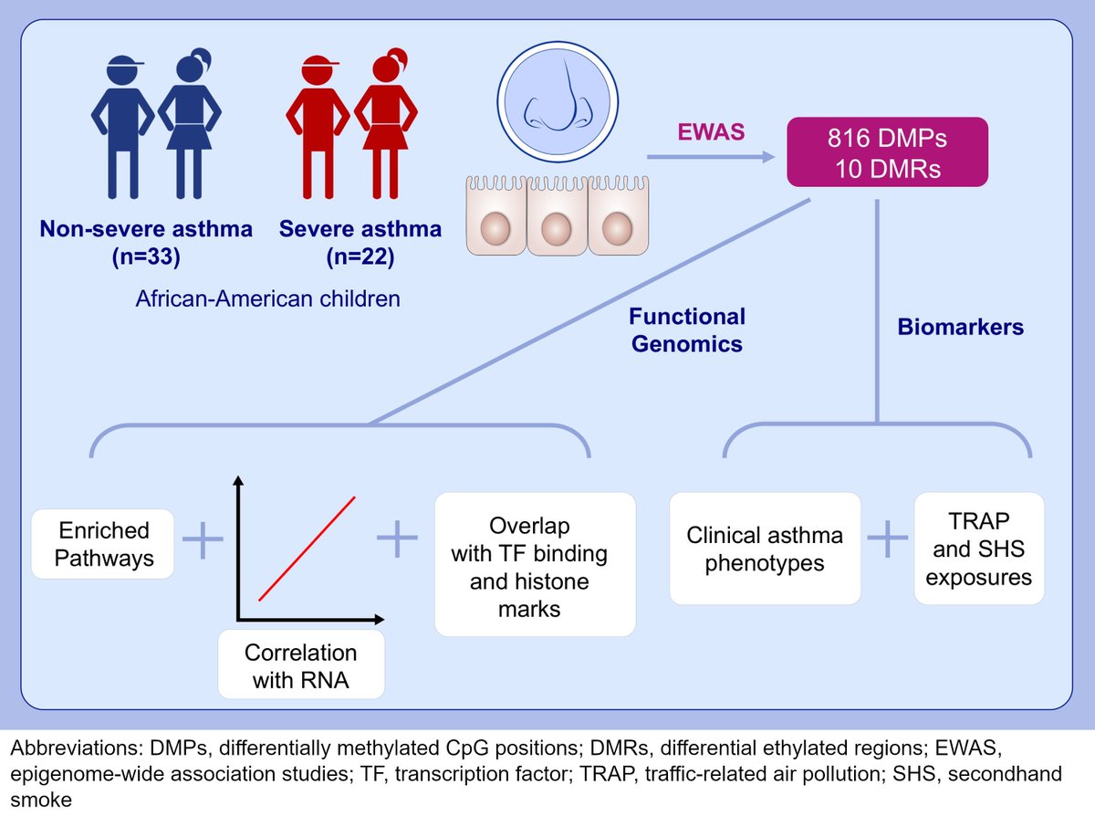 AllergyEaaci's tweet photo. Nasal DNA methylation differentiates severe from nonsevere asthma in African American children; First author: Tao Zhu; Corresponding author: Hong Ji; Download the article here: https://t.co/fI9ydhRRwU
https://t.co/b9CsnEx6pJ
#asthma #epigeneticmodifications https://t.co/S08rjTJheu