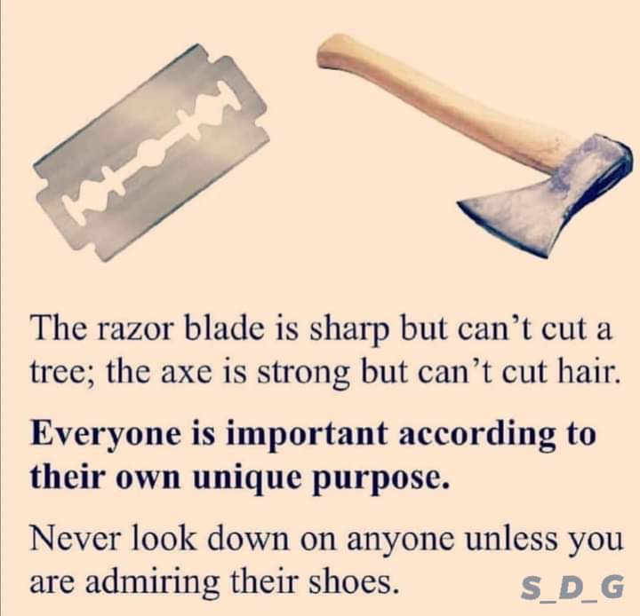 Progressivemoti's tweet photo. Everyone is important according to their own unique purpose. @Progressivemoti https://t.co/dn6Vy9VIFE