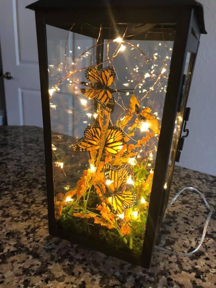 Dr_JamesAvery's tweet image. Random, but I like making lanterns such as these. These were Mother’s Day gifts last year. #VBKind #12DaysTwitter