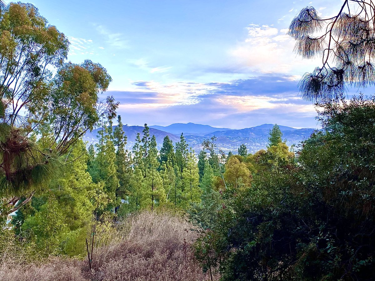 ArtMachette's tweet image. Beautiful view of the far blue mountains looking east toward the Lagunas this morning #landscape #landscapephotography #photooftheday #photography  #SanDiego