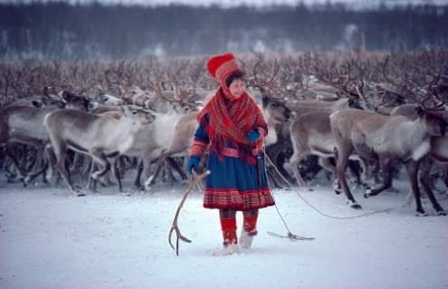 Beivve is the Sun Goddess of the Sámi people. At solstice, they rubbed butter on doorposts so that she could fly higher into the sky. Beivve was often shown accompanied by her daughter in an enclosure of reindeer antlers and they returned fertility to the land.
