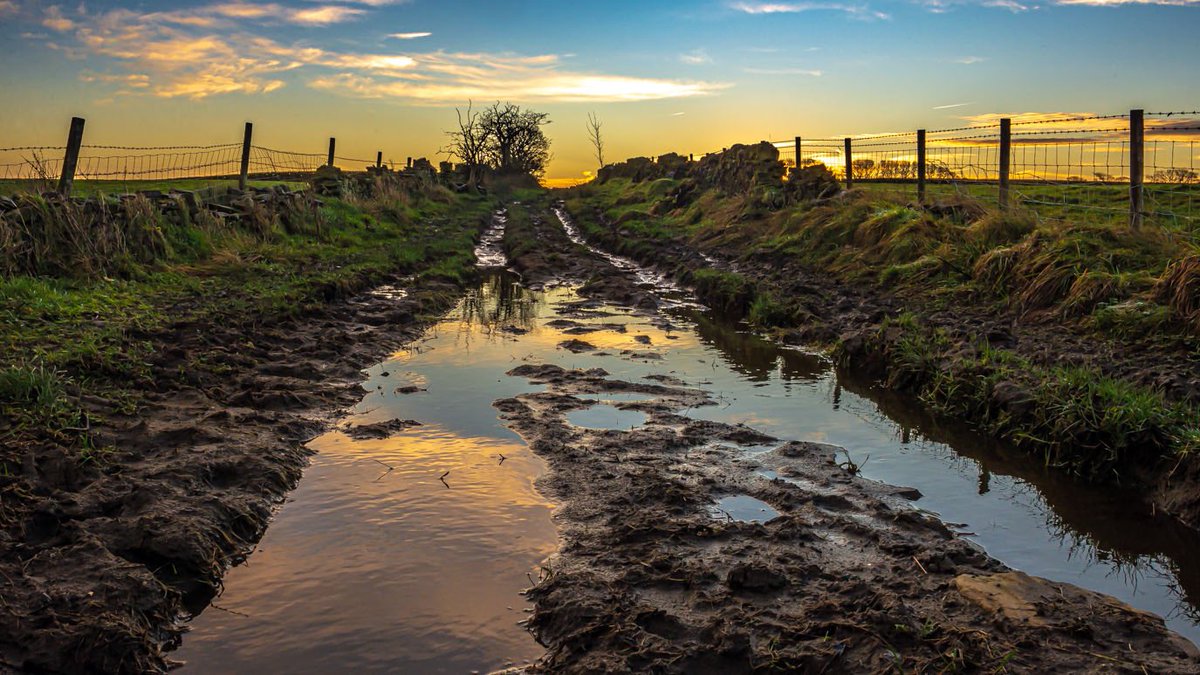AFowlerPhoto's tweet photo. @jbanningww1 Cycling? Roads? #southernsoftie #walking #mudtracks #yorkshire https://t.co/yq5jOJxfvN