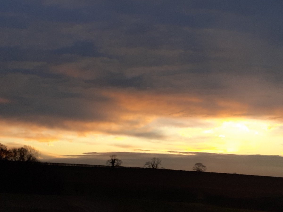 Bestestgundog's tweet photo. It very bootiful but gettin a but chilly #timetogoin https://t.co/sXBUFMT3kb