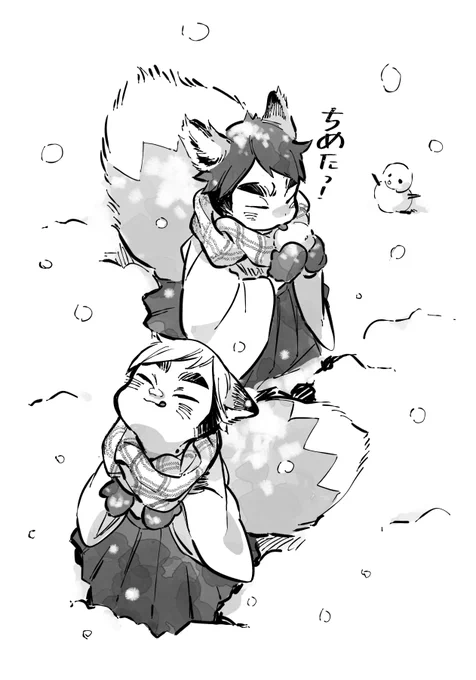 🦊🦊+🦊🦊