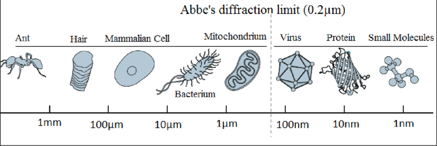 But resolution has been the major restriction in fluorescence microscopy. Due to the diffraction limit, the discerning of structural details below approximately 200nm is impossible.