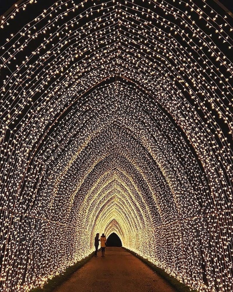 Rocco Forte Hotels tweet media