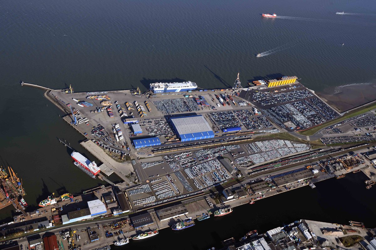 HWG Cuxhaven tweet media