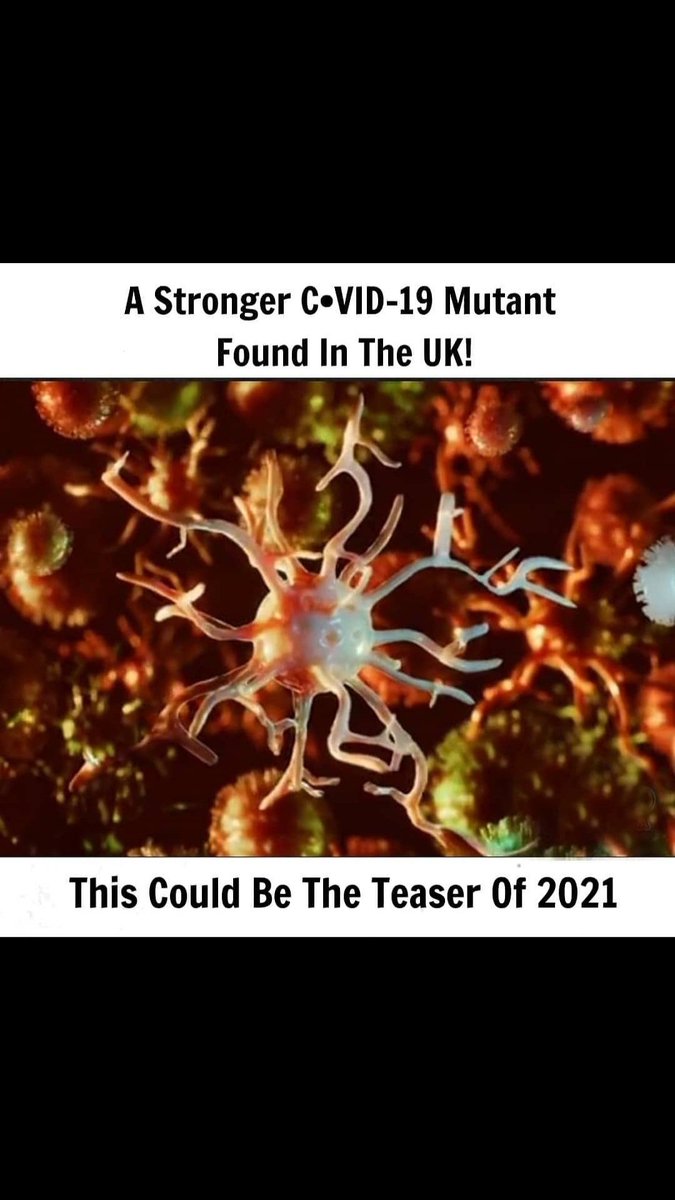 iamanjalid's tweet photo. The Coronavirus is Mutating. What  Does that mean for us? #mutation #covid #covid19 #covidmutation #coronavirus #latestnews #secondwave #pandemic #covidnews #COVIDSecondWave #CoronaVirusUpdates @iamtejaswinid @Aartipandit24 @archana_bachhav @vs_savi @YuvrajPawale4 https://t.co/CF0W5Ud33c