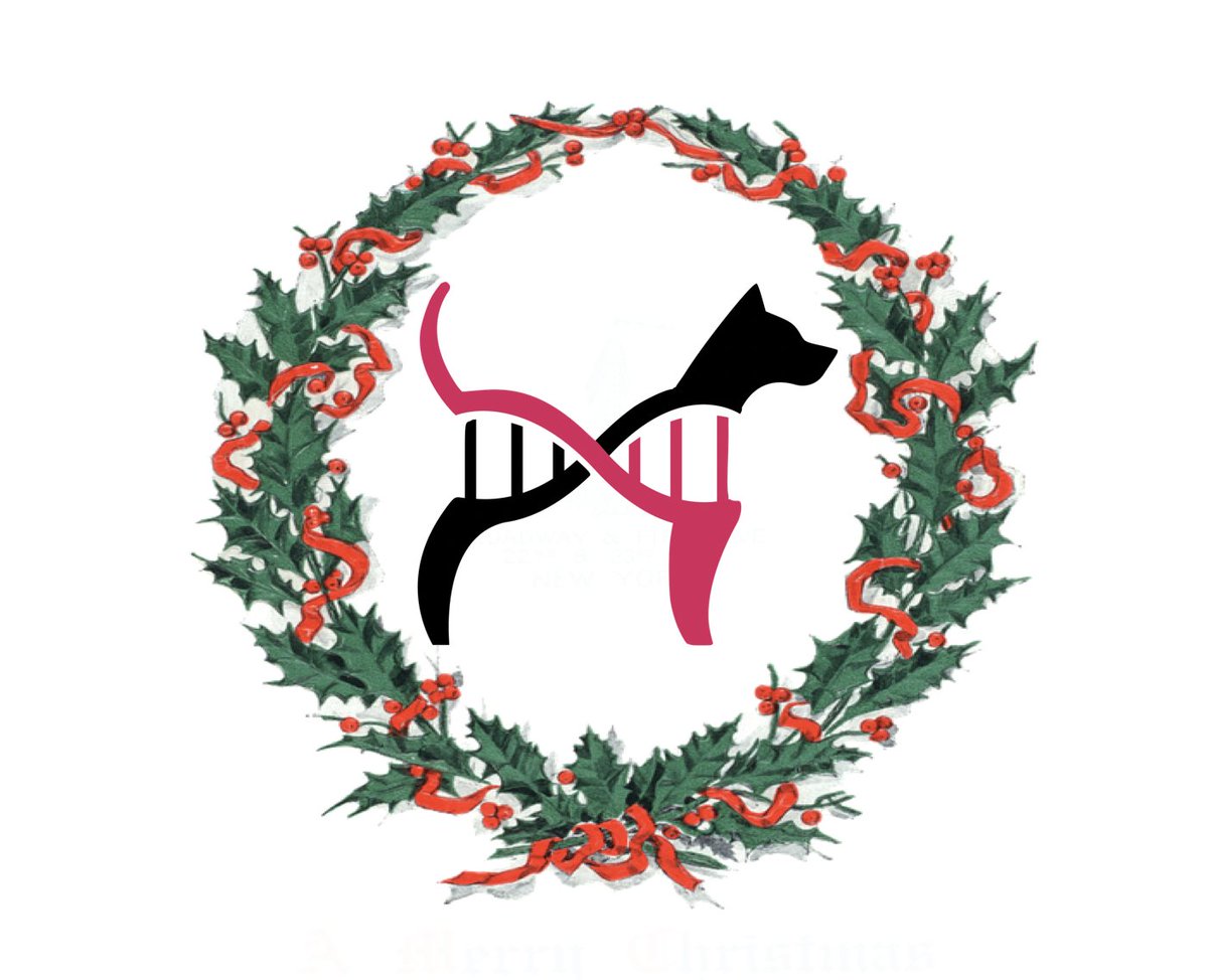 theCDGP's tweet photo. Merry Christmas and a Happy New Year from the CDGP! Keep your eyes peeled for more exciting updates next year 👀 https://t.co/SDAb8R0hD0