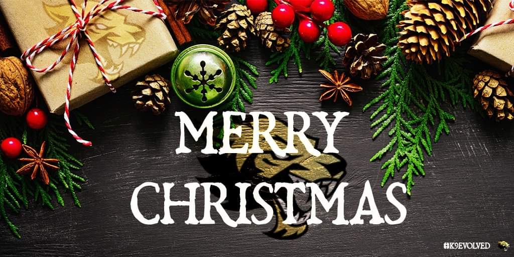 OFF - Knine EvolveD tweet media