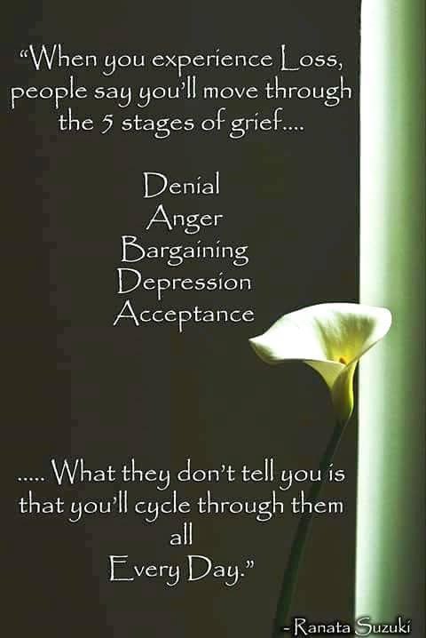 SupportBill141's tweet photo. #miscarriage #pregnancyloss #stillbirth #infantloss https://t.co/it8doBNLho