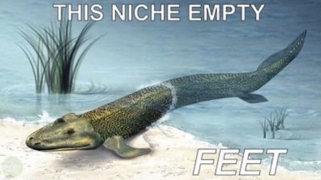 FossiloftheWeek's tweet photo. Fossil of the week is happy to announce our grand champion for 2020: Tiktaalik! 
A 50:50 split for public vote against trilobites was resolved by class vote pipping the win for the wondrous stem tetrapod. Congrats all participants! https://t.co/c7cp3Uynz5