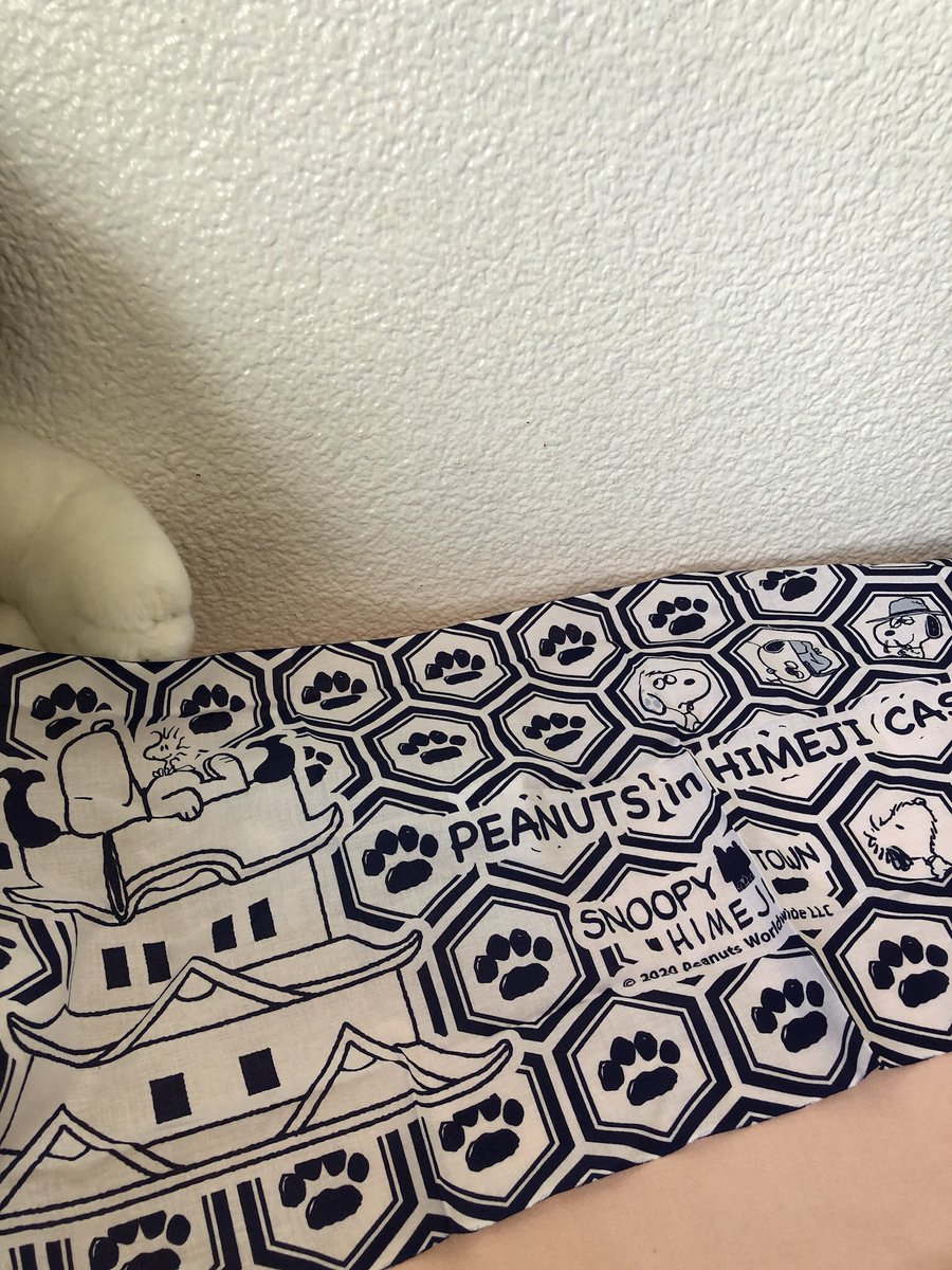 Mi Hi あった イオンモール岡山ですね 時々仕事で岡山へも行きますので 時間があれば行ってみよう 怪しいオジサンが スヌーピー