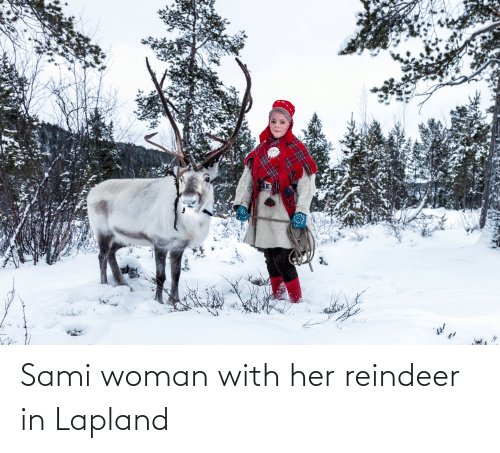 The Sámi people herd domestic reindeer, a position which allowed women to escape the "domestic sphere" and enter the "public sphere."Do these traditional Sámi shoes remind you of anything? Santa's elves, perhaps?