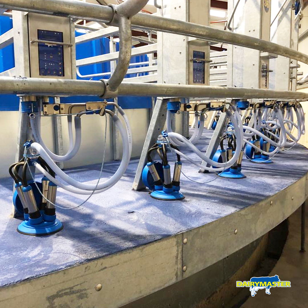 dairymaster's tweet photo. A busy few days getting the finishing touches to many installations before the Christmas break! 🙂🎄This 50 unit rotary will be ready for the next milking season. https://t.co/LgmAbw470S