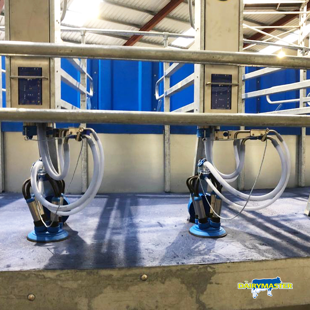 dairymaster's tweet photo. A busy few days getting the finishing touches to many installations before the Christmas break! 🙂🎄This 50 unit rotary will be ready for the next milking season. https://t.co/LgmAbw470S