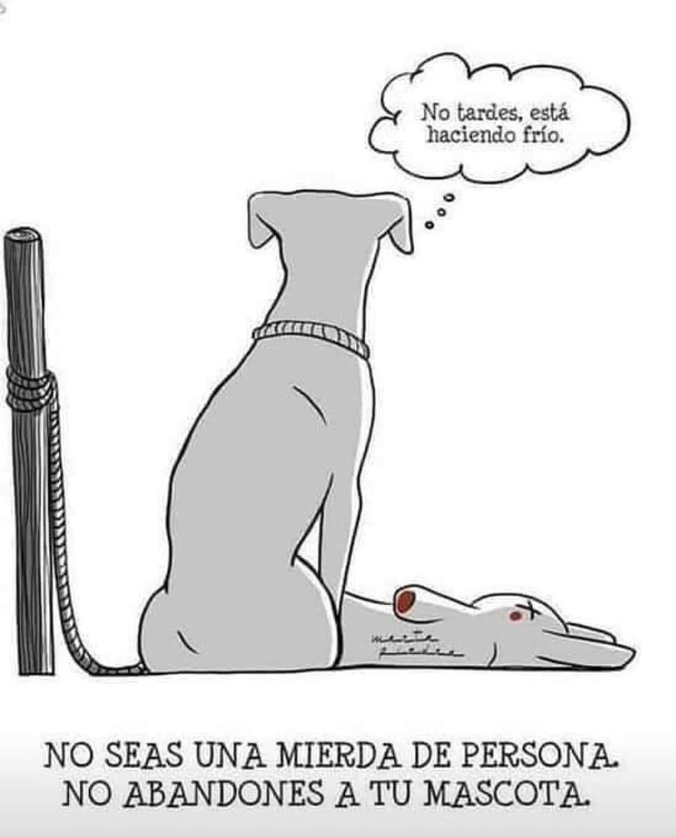 elmonaguillo's tweet photo. Es duro pero es así. Mi mascota se fue hace más de un mes y se me fue un trozo de vida. Lo echamos de menos cada día. Si decides que una mascota te acompañe en la vida, cuídala hasta el final. https://t.co/1SFXgU0BKU