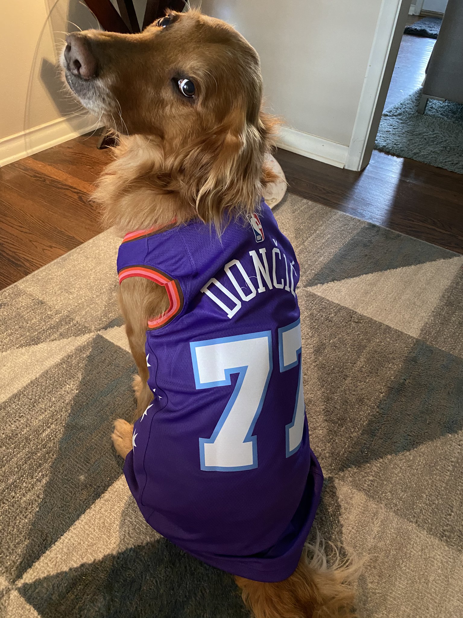 mavericks dog jersey