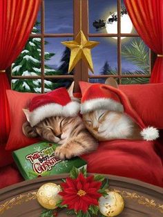 IBCHappyWorking's tweet photo. @IBCHappyWorking 
Augura Buon Natale e un Esplosivo Nuovo Anno 2021🎅🎄✨
#santaclausiscomingtotown
#happynewyear
Prenota Ora i Nostri Servizi:
https://t.co/snkcD60i50
https://t.co/uA6XUiQanF
https://t.co/xLsQ1WM5xi https://t.co/RoJPCLWXxQ