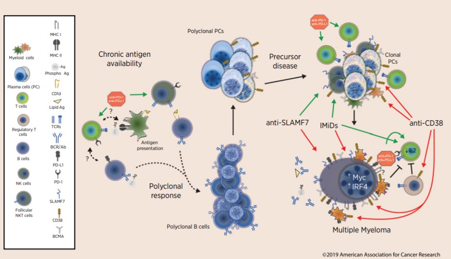 CIR_AACR's tweet photo. Check out #CIRCrossroads and #CIRMasters series. These #reviews cover a wide range of #CancerImmunology topics! #TumorAntigens #Immunotherapy #Metabolism #CheckpointBlockade #Autoimmuity #NKcells #Tregs #EngineeredCells #CancerDisparities https://t.co/6TpHu9dPJJ https://t.co/efwLZ0AQOC