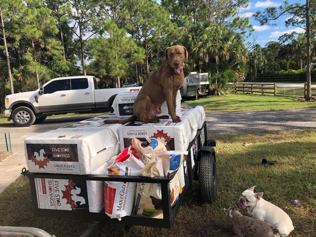 🐾 Paws up for a handsome pup on a trailer of Five Star Shavings!

Thank you Jeff Kaigan for the photo!