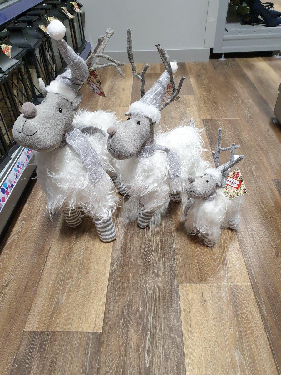 CRUKGtYarmouth's tweet photo. These gorgeous Shaggy  mountain Reindeer have been reduced and are looking for a home! Large one was £19.99 now £12.99
Medium one was £14.99 now £9.99
Small one was £7.99 now only £5.99
#greatyarmouth #cancerresearch #bargains #Christmas2020 #pricemarkdown #christmasspirit https://t.co/eplFkR3r70