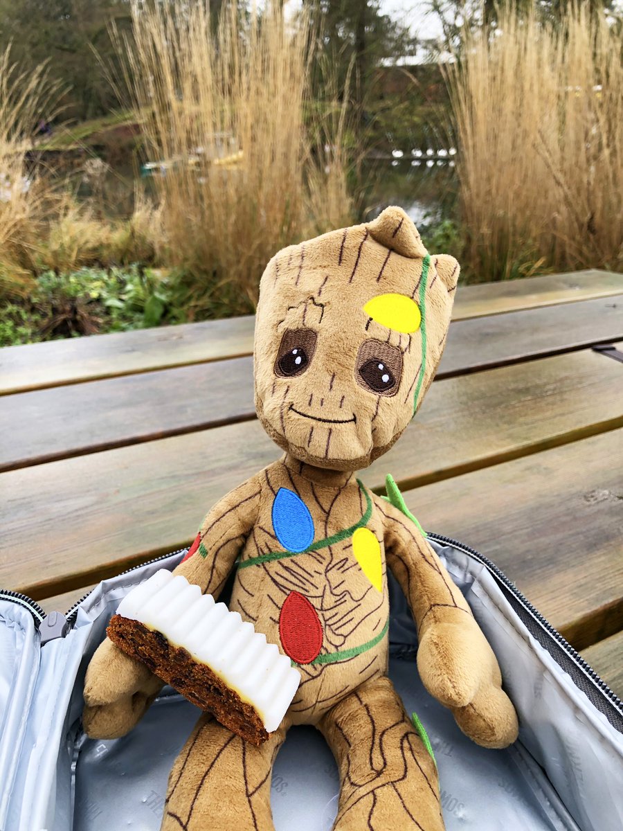 Christmas Groot has enjoyed a festive visit to <a href="/TrenthamEstate/">Trentham Estate</a> 
He even had some Christmas cake for lunch 🎄 #iamgroot
