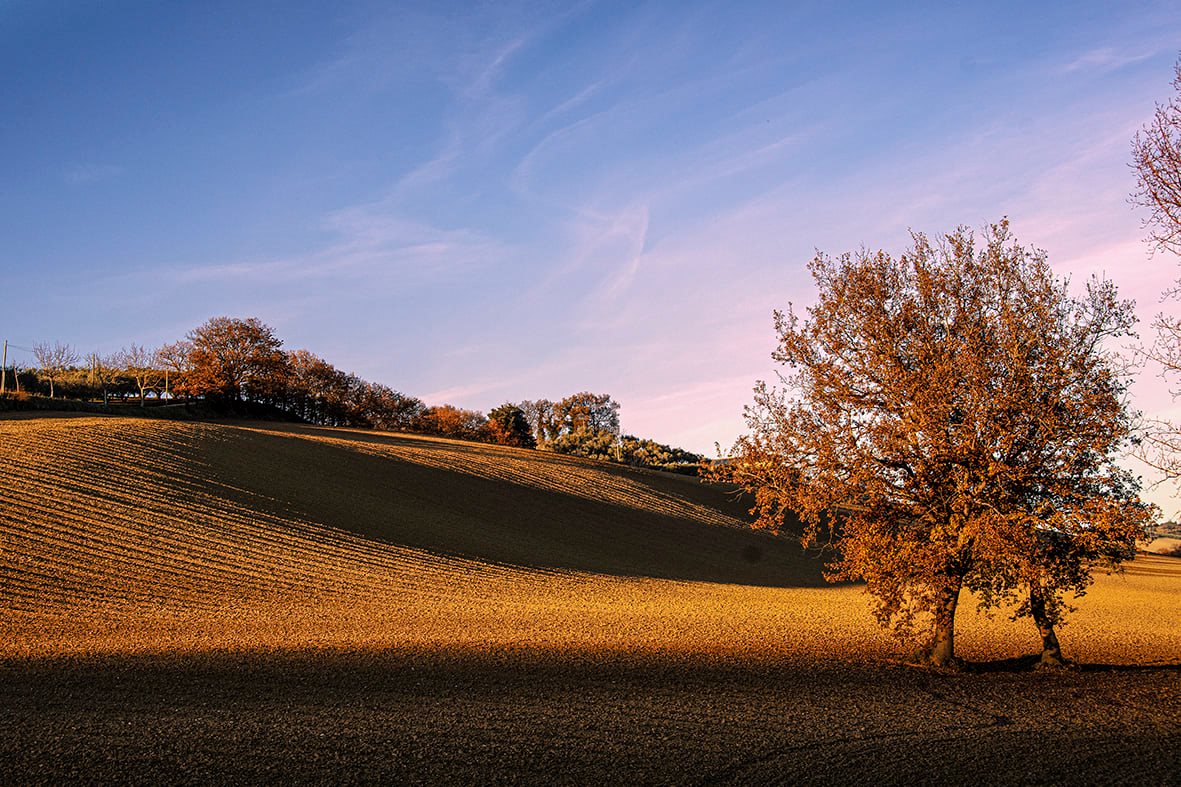 Verso la sera nella nostra campagna, ph Elio Salvucci #inverno #campagna #Marche
