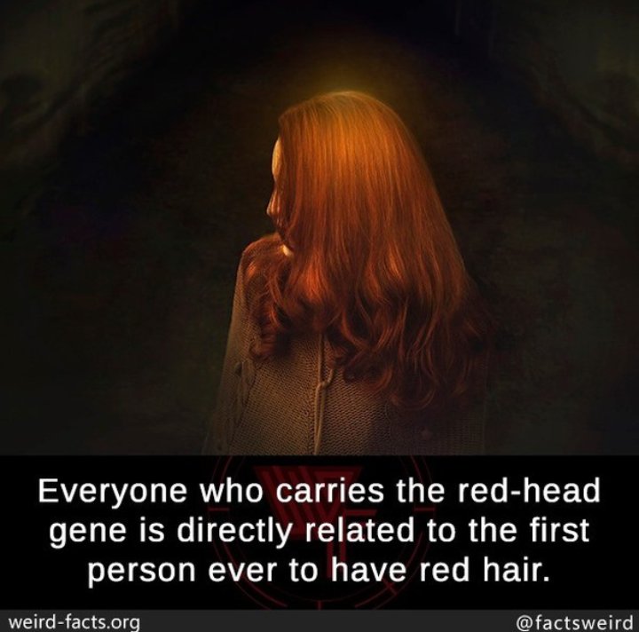 Frame 1 is just 50 shades messed up 