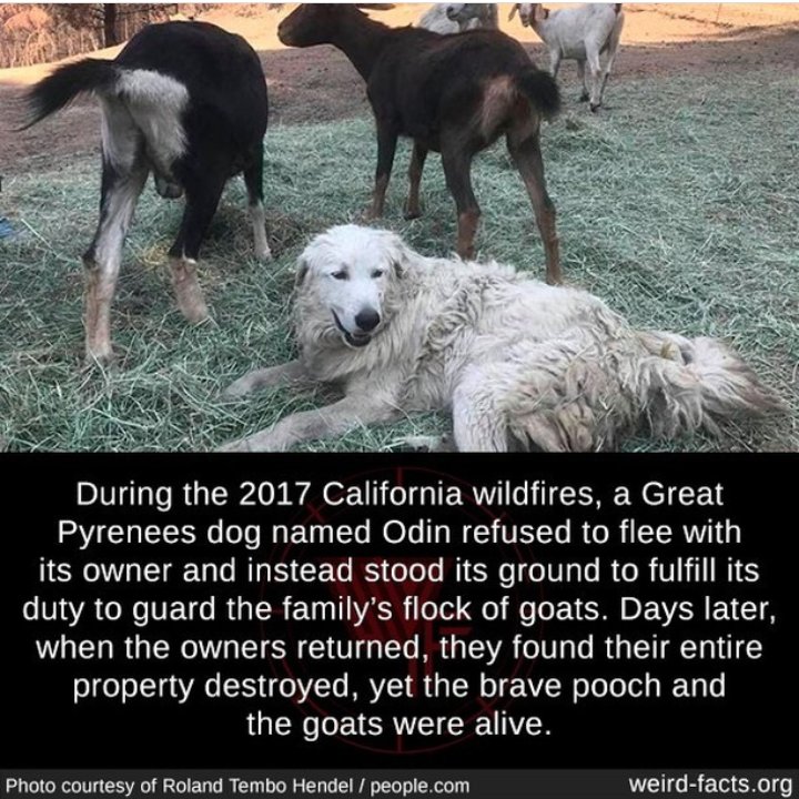 The nigga in frame 3 be wildingLast frame is so 