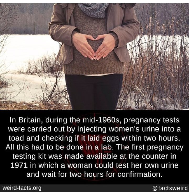 Frame 2 is just creepy. Imagine 2 painful hours of waiting for the double linessheesh