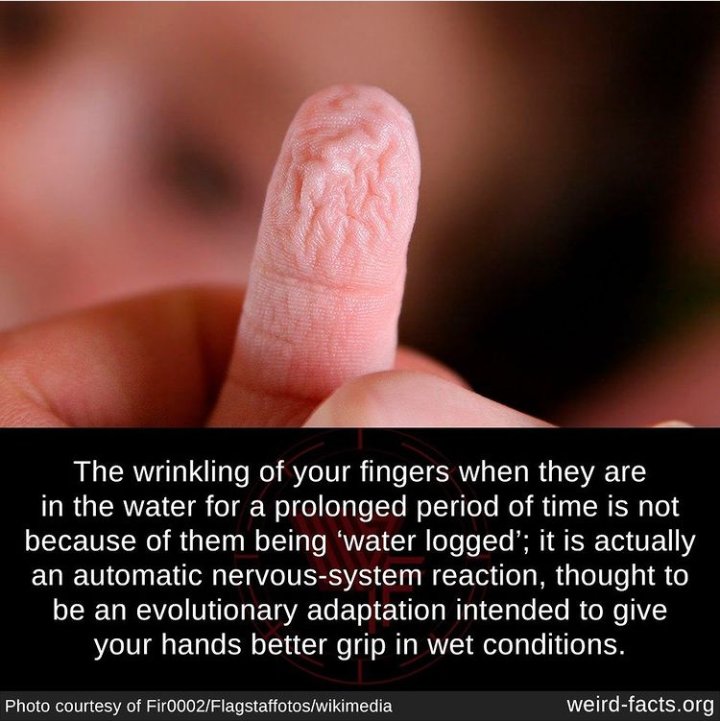 Frame 3 warms my heart..... Kinda