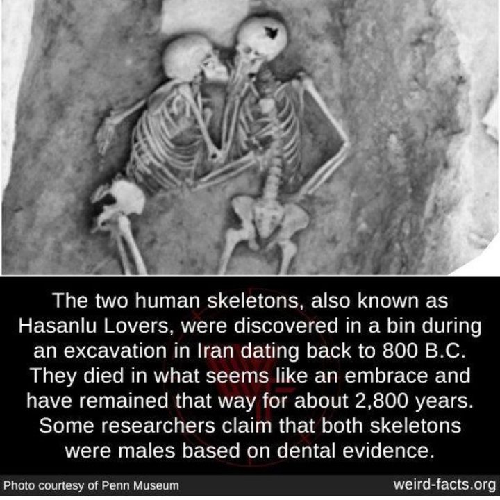 Frame 2 is disturbingly cuteFrame 3 and Last frame makes me wanna cryBlacks making us proud 