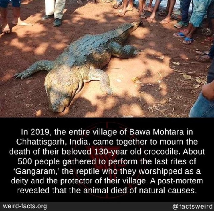 Frame 1 is insanely mesmerizingFrame two makes me feel my generation is dumb asf