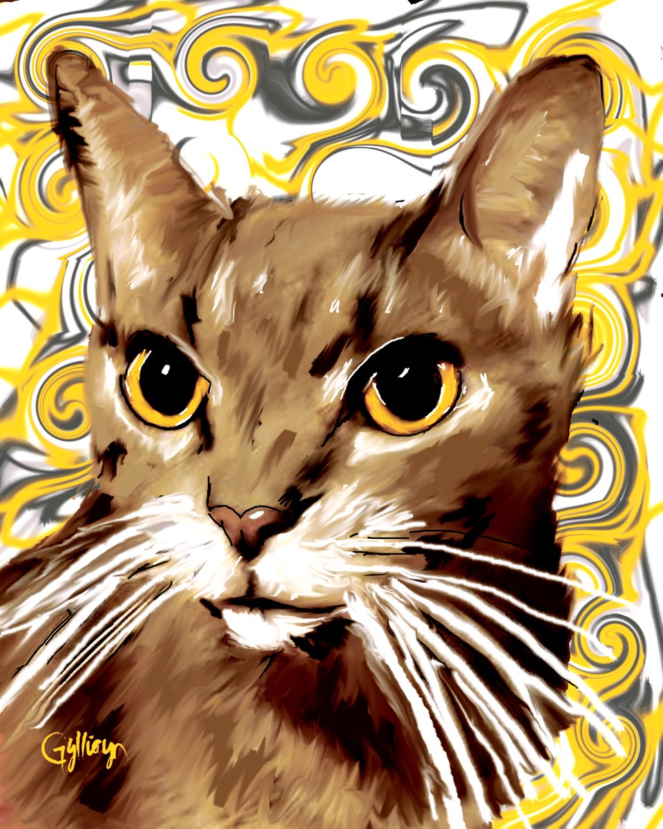 Chill Out Cat tweet media