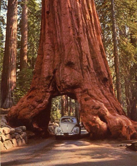 Adventure Spots ☼ tweet media