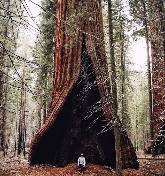 Adventure Spots ☼ tweet media