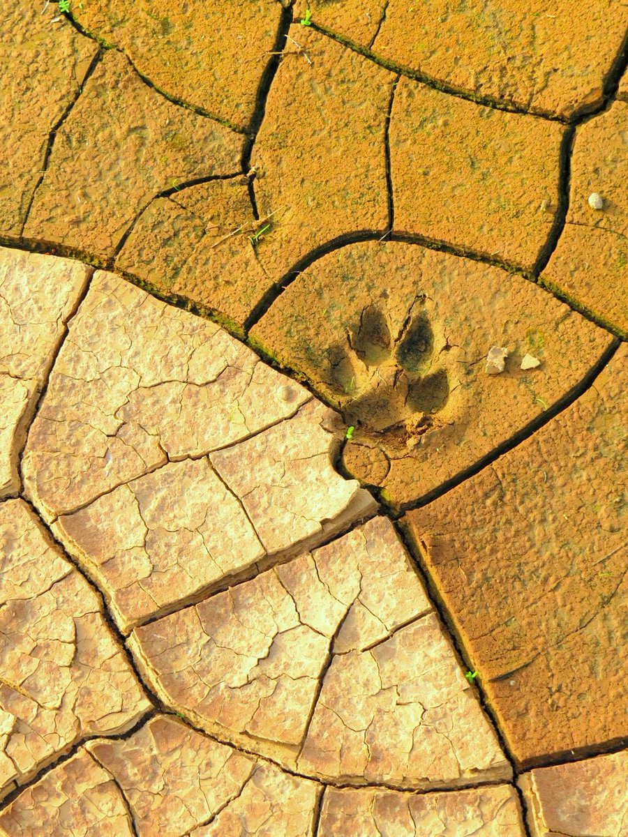 Want to backtrack? Fabl displays editing histories within each story so you can revert to an earlier version if you need.
bit.ly/2LMIp0h

#contentstrategy #onlinepresence