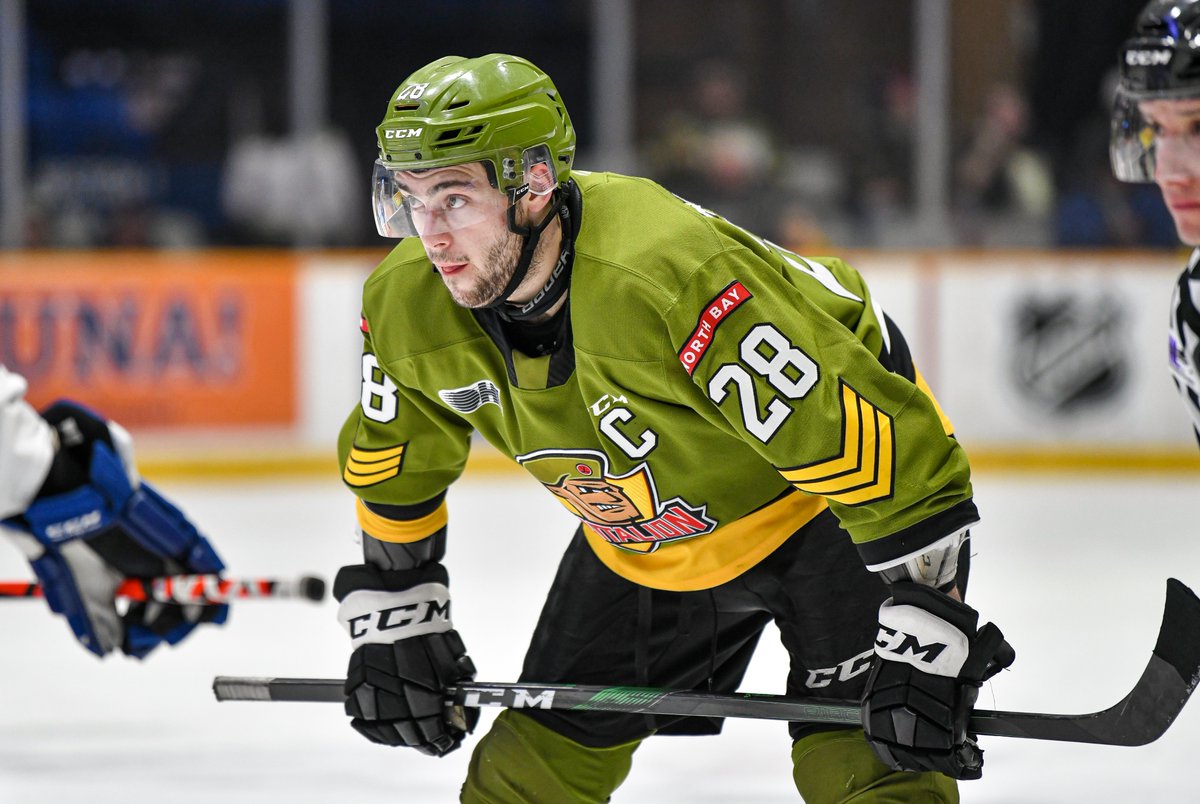North Bay Battalion tweet media