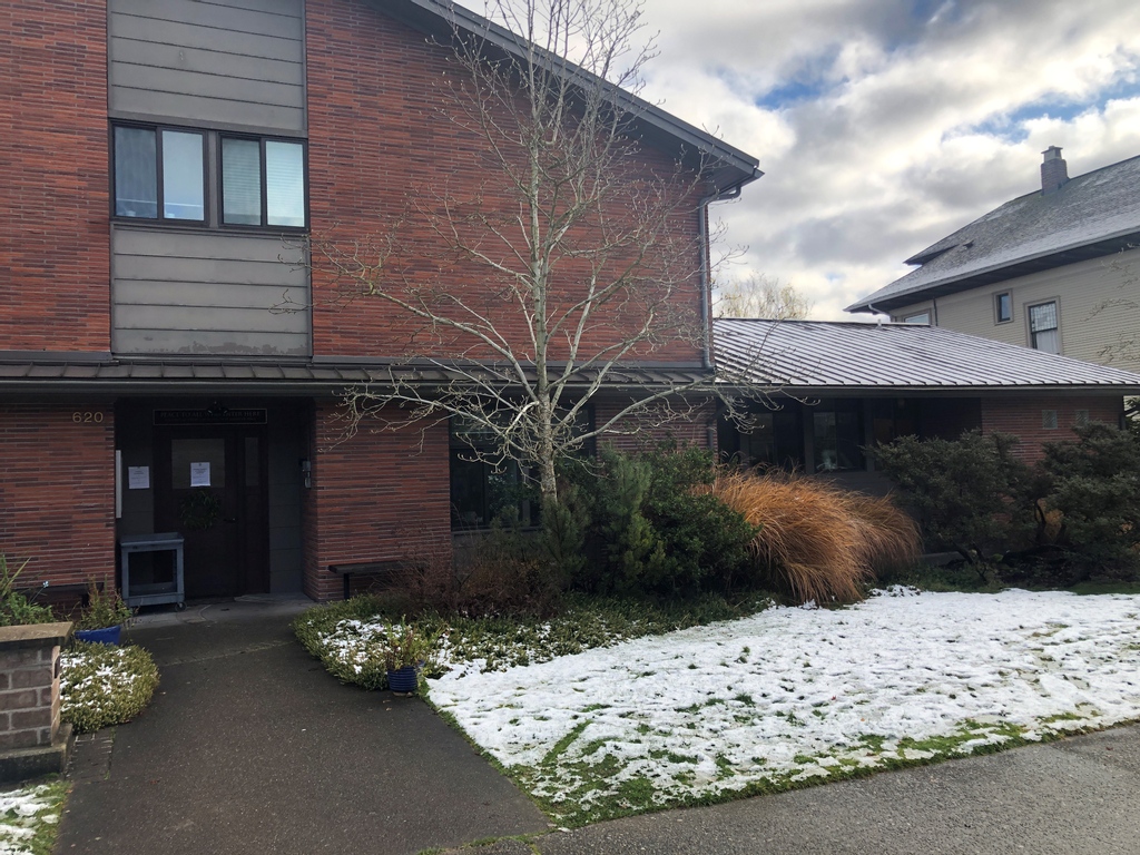 JubileeSeattle's tweet photo. Our first dusting of snow in Seattle! Just in time to welcome back the light, too. 🥰 Reply with a 💚 if you love snow! https://t.co/3U2MUoh45E