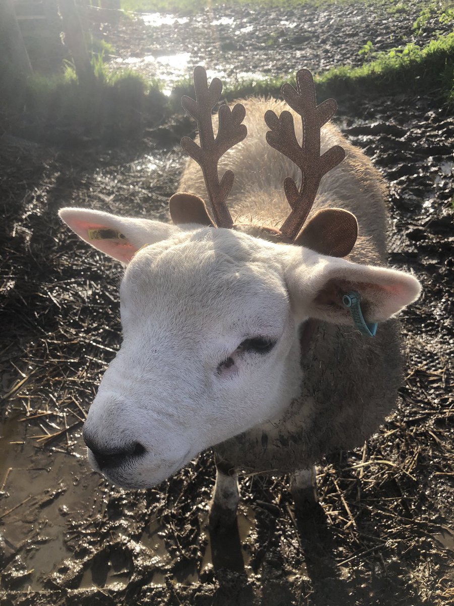 Tim Hancock tweet media