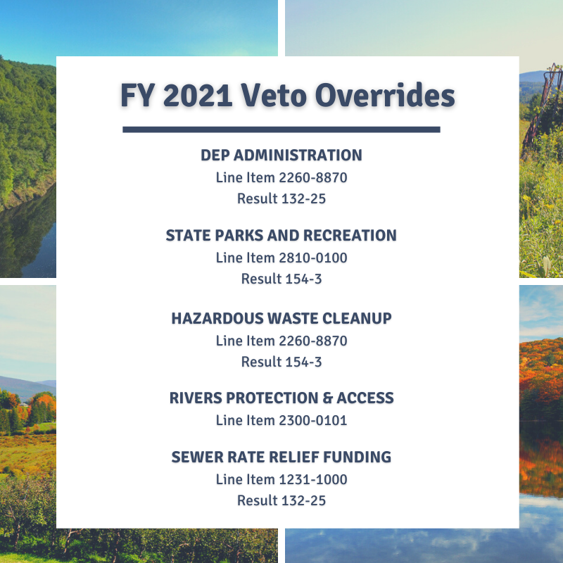 Smitty Pignatelli tweet media